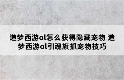 造梦西游ol怎么获得隐藏宠物 造梦西游ol引魂旗抓宠物技巧